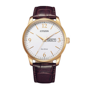 Citizen Eco-Drive Mens 42mm Classic Brown Leather Watch